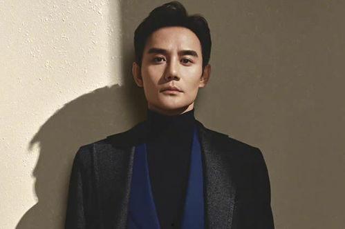 中国成熟男明星,中国成熟男明星风采录