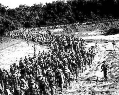 奠边府战役免费观看,奠边府战役经典瞬间