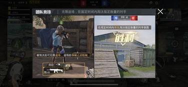 流浪者爆料最新消息视频,最新视频揭露社会现象，引发热议